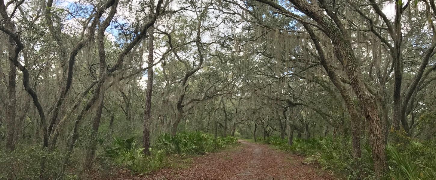 Rock Springs Run State Reserve Florida State Parks